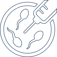 Medically Assisted Procreation (PMA)